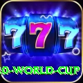 2024 t20 world cup Max Pakistan