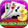 asia cup 2022 - Pro Edition v1.4.4