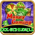 cricbuzz schedule King - Casino & Slots