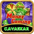 gavaskar - Premium Edition v2.8.8