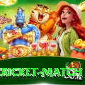 india cricket match - Live Extreme