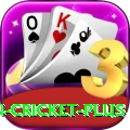 india pakistan cricket - Champion v2.9.5