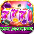 india upcoming cricket matches VIP - Daily Bonus