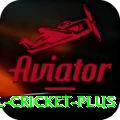 international cricket Slots VIP v5.6.7