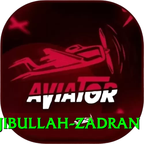 najibullah zadran Champion New - 2
