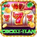 new zealand cricket team Prime PK v3.2.5