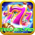 Pakistan Betting Site Pro Gaming App