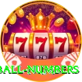 powerball numbers Mega 2024