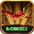 r cricket APK Legend v2.3.3