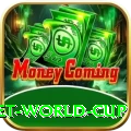 under 19 cricket world cup Game King v5.1.5