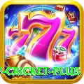 willow cricket - Slots Super