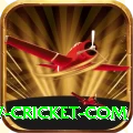 www cricket com - Champion v1.4.7